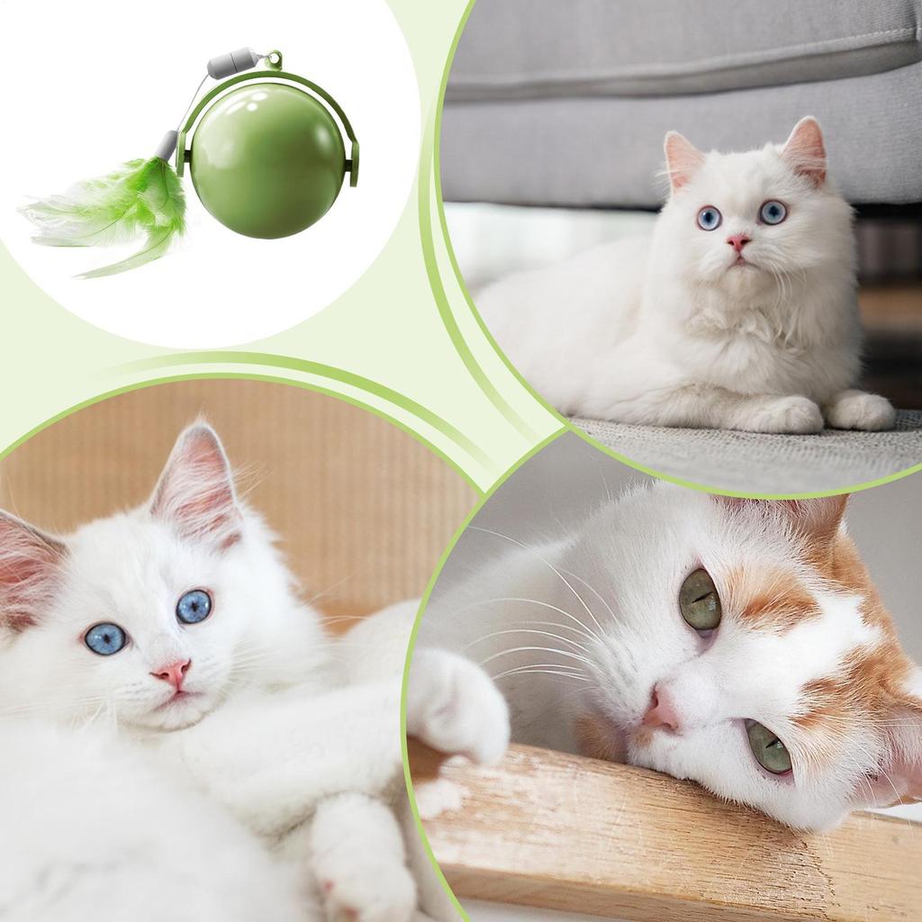 Interactive Cat Ball Interactive Obstacle Avoidance Exercise Toy Kitten Active Rolling Ball With Feathers For Small Cats Pets