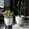 Hydroponic Plant Vase with Cotton Rope Plastic Creative Flowerpot Lazy Self Watering Vase Plant Pot for Home Garden Decoration
