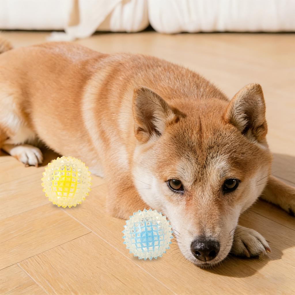 Leuchtende Haustierspielzeugkugel für Hunde, ,Widerstandsfähige elastische Kugel, Auf Lager Spielzeugkugel für mittelgroße und große Hunde