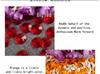 Octagonal Double-Hole Clear Acrylic Beads for DIY Money Tree Crafting