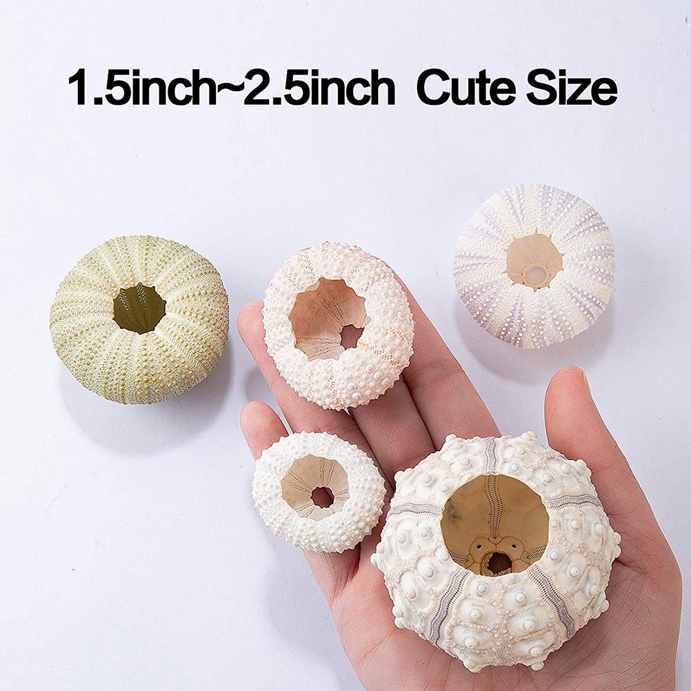 5PCS Funny Planter Pots Adorable Decorative Hanging Planter for Home Office Decor