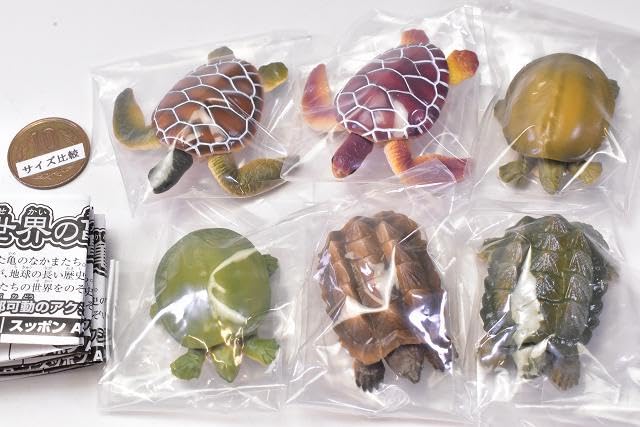 Playable Creature Figure Series Turtles of the World 1 of 6 Types Gacha Gacha Capsule Toy [Set (Full Complete)]