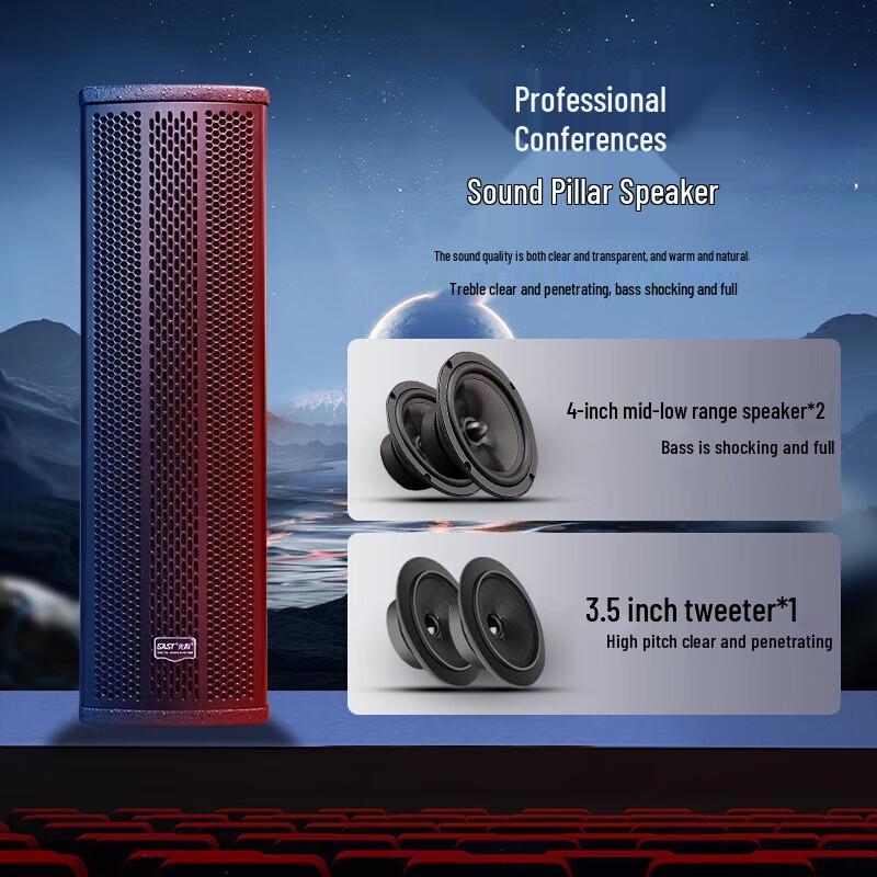 SAST Professional Conference Audio System Set CN plug (adapter included)