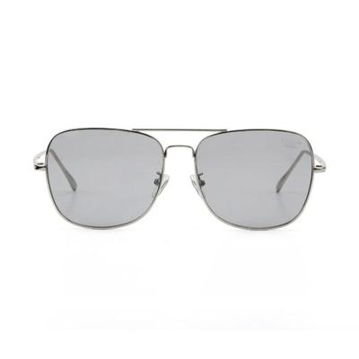 Hybition Rover Original Silver / Gray Tint Lens