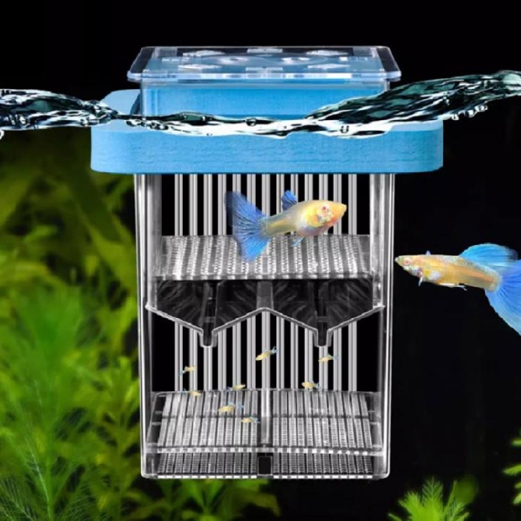 Acrylic Fish Breeding Box for Hatchery and Isolation for Aquariums Breeding Box Double Layer