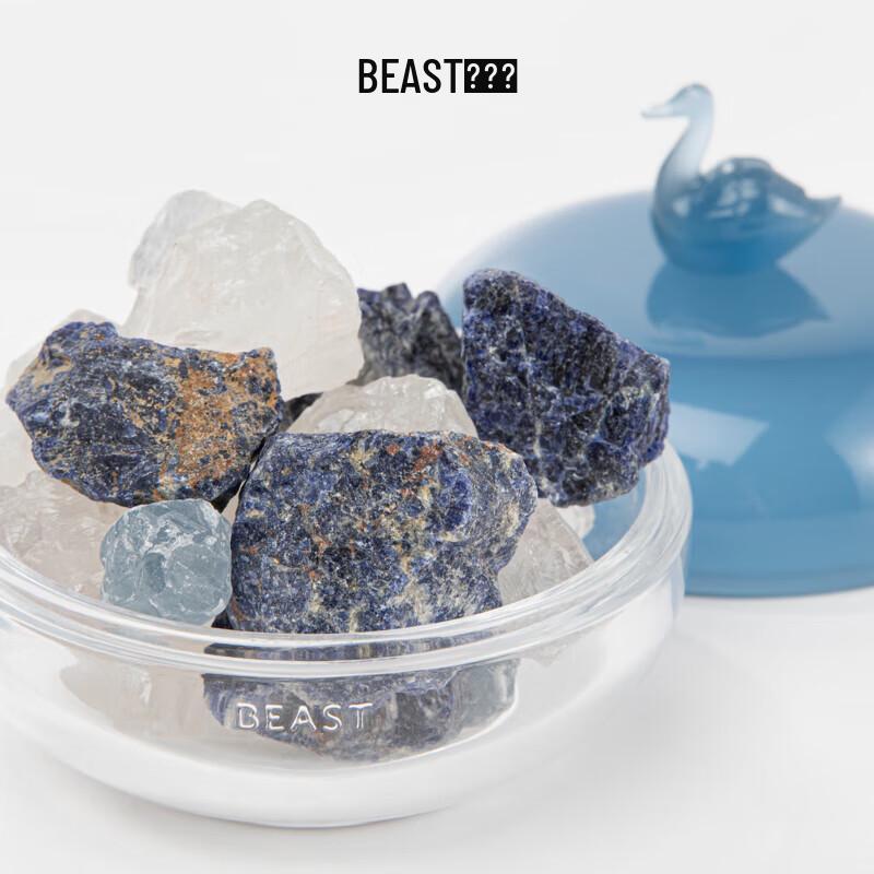 Beast Shop Crystal Diffuser Gift Set