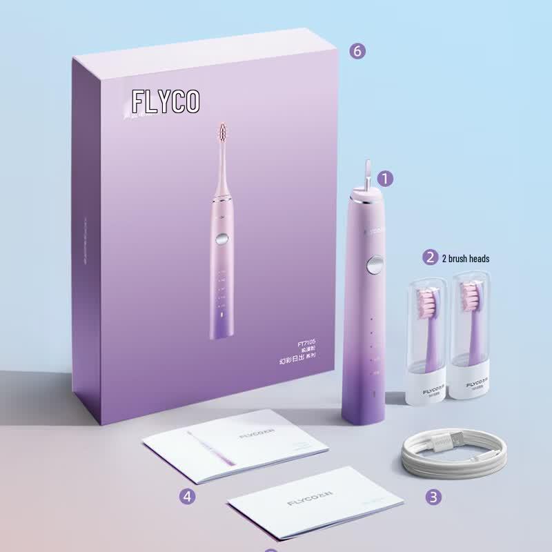 FLYCO FT7105 Sonic Electric Toothbrush Couple's 2-Pack CN plug (adapter included)