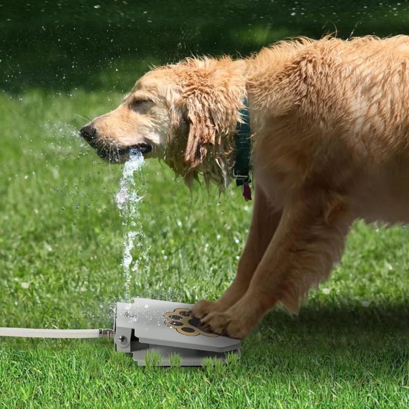Hond Buiten Drinkfontein Stap-op Roestvrij Staal Automatische Drinkdispenser voor Zomer Interactieve Fontein Plezier Huisdier Speelgoed