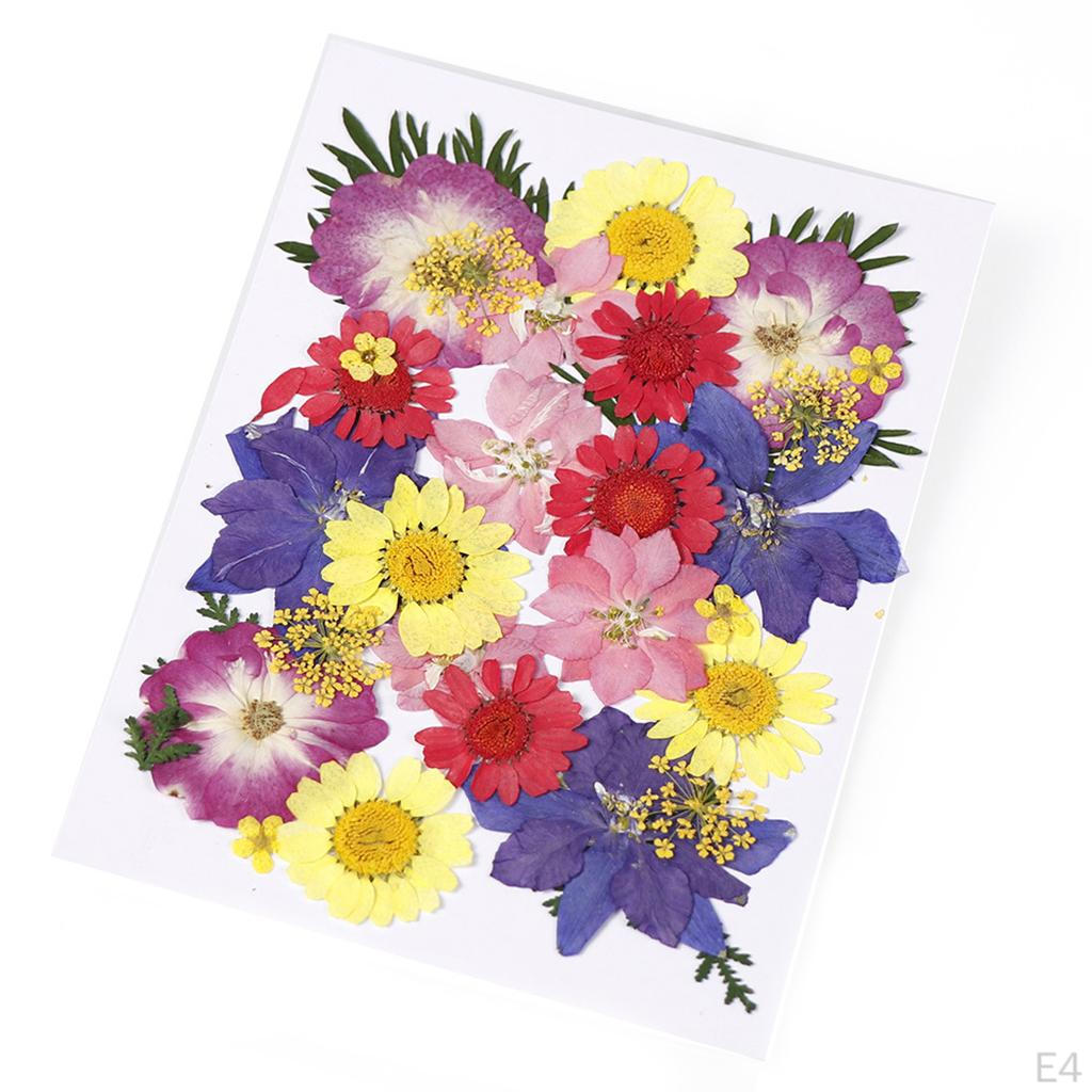 Dried Flowers DIY Decorative for Resin Jewelry Making Crafts Nail Stickers