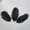 15 Pcs Natural Ostrich Feathers Colored Soft Feather for Clothes Wedding Decor