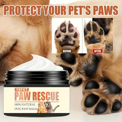 Honden – Hondenproducten