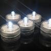 Mini LED Waterproof Fish Tank Night Light with Seven Colors