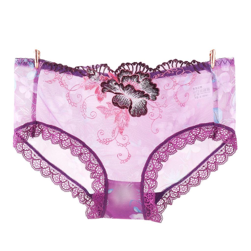 Plus Size Nude Lace Low Waist Embroidered Panties for Women