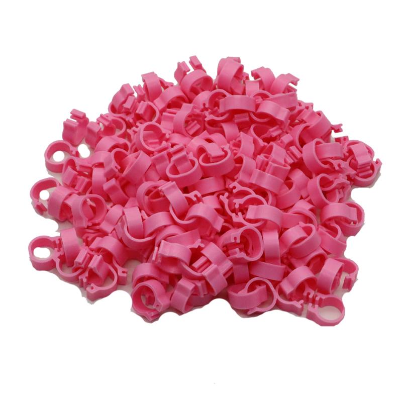 200 Pcs Inner Diameter 8mm Bird Foot Ring Dove Pigeon Parrot Leg Rings Small Birds Foot Ring Bird Clip Ring 10 Colors