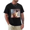 Cat 613 Siamese Tshirt Big Size Crew Neck Tshirt