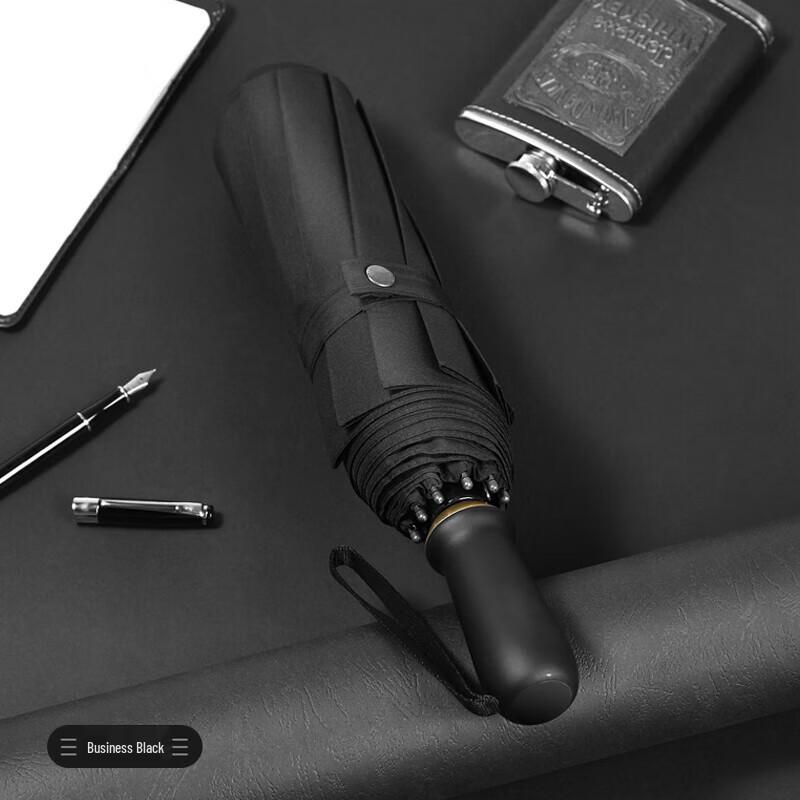 MAYDU Large Automatic 10-Rib Foldable Umbrella