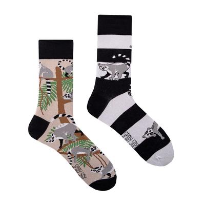 Lemurs - Colorful Socks 40-43