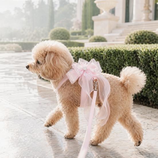 Cat And Small Dog Harness and Leash Set Adjustable H-Style Pet Harness