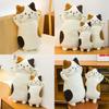 Threecolor Cat Stuffed Toy Plush Pillow For Kids Sleep Decor And Gift