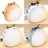 And Adorable Soft Pet Little Cat Doll Plush Toy Sleeping Soft Big Hug Doll