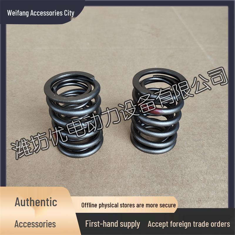 Weifang 226B/Weichai WP4/Deutz WP6 Valve Springs Set: Intake & Exhaust 01222009/01222051 Weichai Engine Compatible