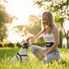 Multifunctional Outdoor Pet Training Waist Bag Cat And Dog Snack Bag Dog Walking Running Training Accessory