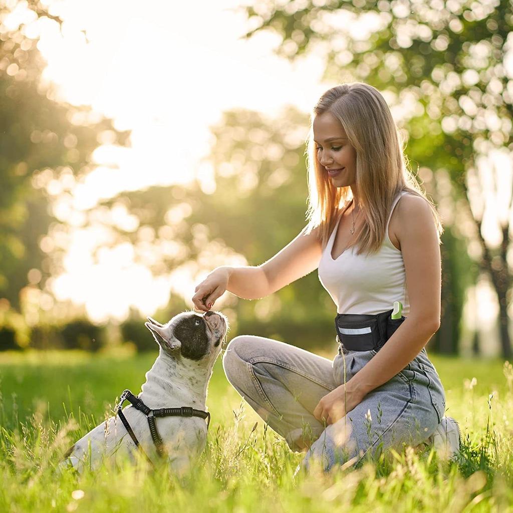 Multifunctional Outdoor Pet Training Waist Bag Cat And Dog Snack Bag Dog Walking Running Training Accessory