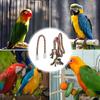 2Pcs Parrot Cotton Rope Standing Station Safe Eco-Friendly Climbing Perch Bird Supplies Balance Coordination Exercise