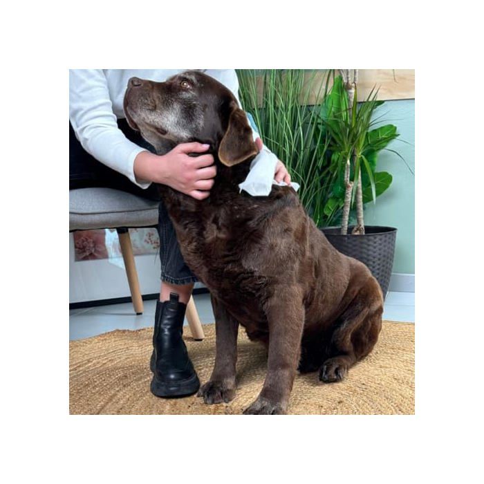 Lingettes nettoyantes pour animaux - Inodorina - 110 pcs - Chlorhexidine - Odour Stop - Action adoucissante