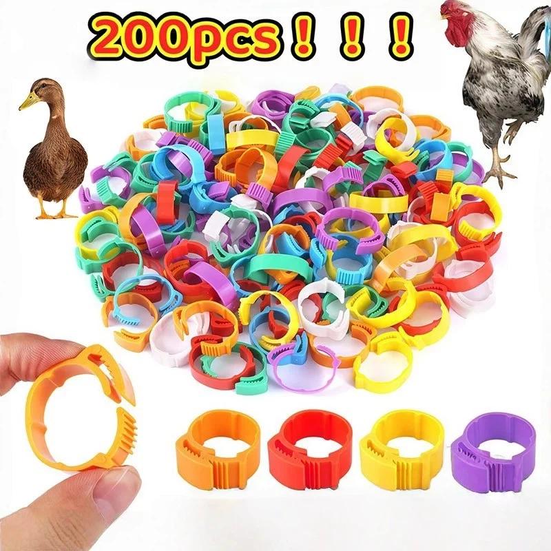 100 Pack Adjustable Poultry Leg Identification Rings Durable No Number Buckle for Chicken Duck Goose Home Farm Feeding Use