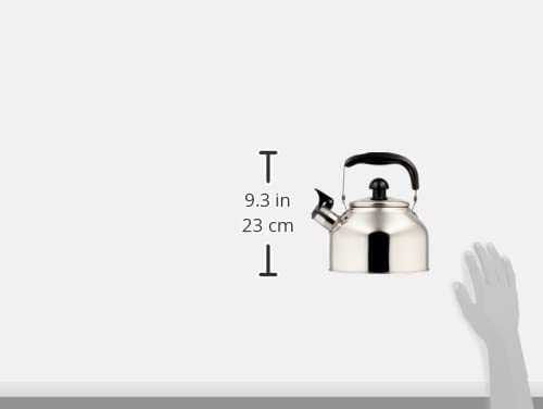 Kettle/Water Kettle Silver 2.7L Wide Mouth Whistling Kettle CW-27