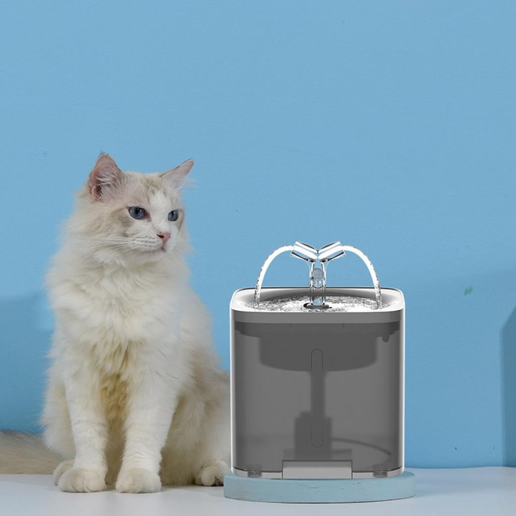 automatic cat feeder water