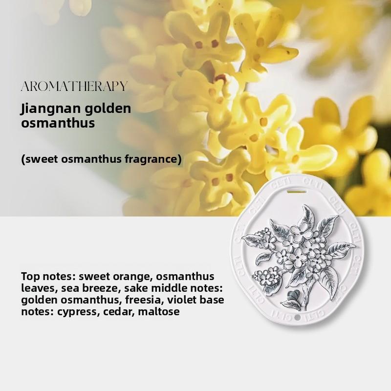 Relief Gypsum Hanging Pieces, Car Aroma Diffusers, Indoor Wardrobes, Bathroom Solid Long-lasting Fragrance Souvenirs