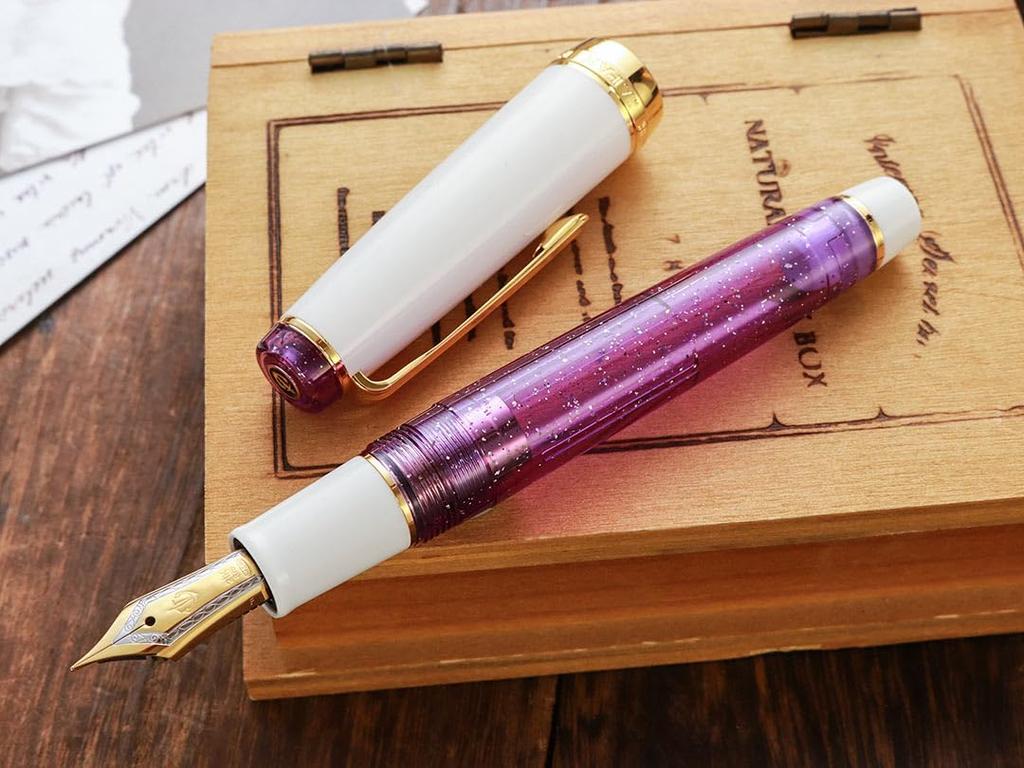 WANCHER SAILOR Original Professional Gear PURPLE RAIN Fountain 21k Gold Pen, (Medium Nib)