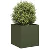 Pot, Olive, 40X40X40 Cm, Cold Rolled Steel