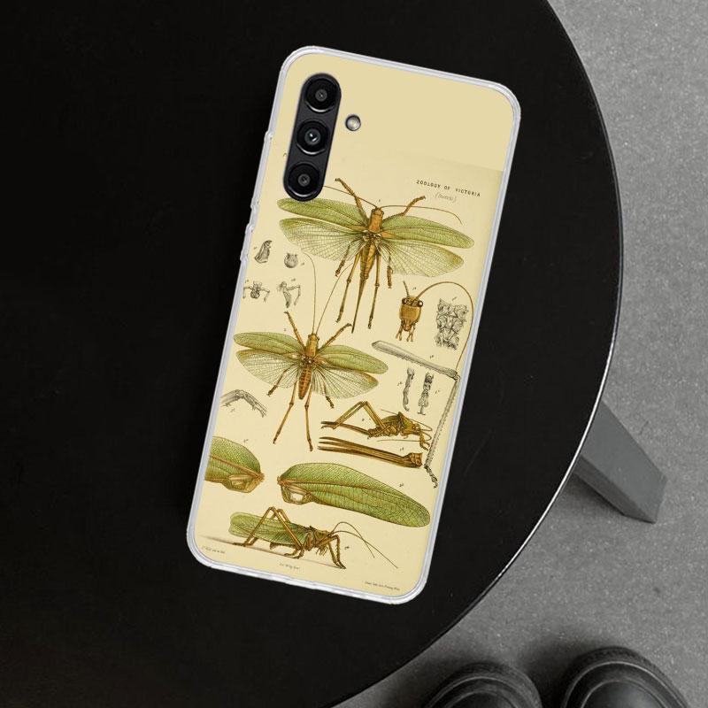 Bugs Bees Scientific Decomposition Phone Case Cover for Samsung Galaxy A17 A16 A26 A36 A56 A57 A37 A15 A25 A35 A55 A14 A24 A34 A