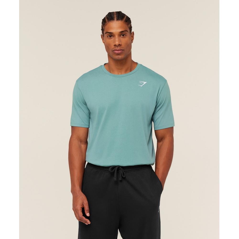 Gymshark CresT T shirT Gs sTorm Blue A1a3j Ud6x