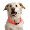 Helle Transparente PU Leuchtendes Hundehalsband für die Nacht
