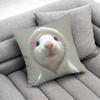 Funny Sad Hamster Meme Throw Pillow Case For Square Bedroom Pillowcase Cover