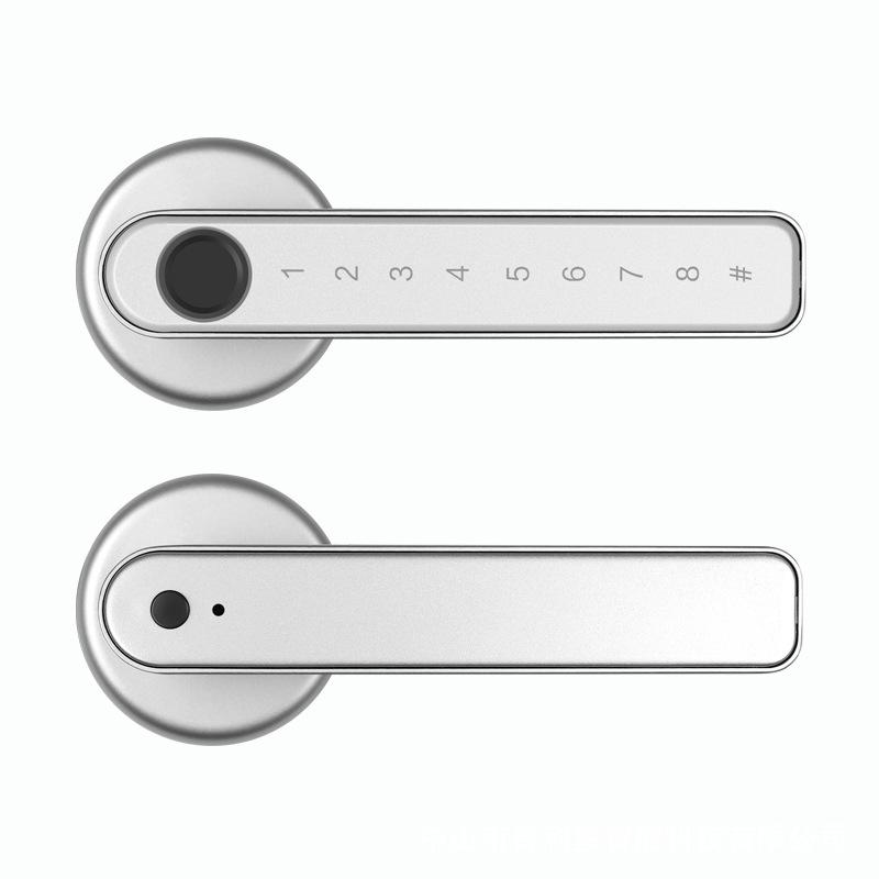 Fingerprint Lock for Indoor Bedroom/Office: Wooden Door Password & Smart Electronic Alloy Lock