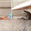 Feather Soft Plush Ball With Bell Cat Teeth Cleaning Toy Funny Interactive Toys