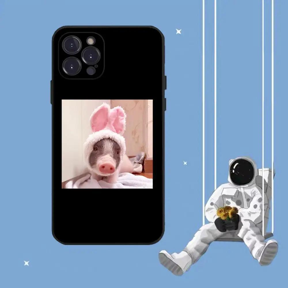 

Чехол для мобильного телефона iPhone15, чехол для мобильного телефона с милой свинкой, окрашенный чехол с защитой от падений для мобильного телефона. iPhone 16 Plus