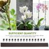 Plant support 40 cm x 3 cm 10 pcs