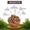 Birju Mahavir 100 G Harad Badi - Gelbe Terminalia Chebula