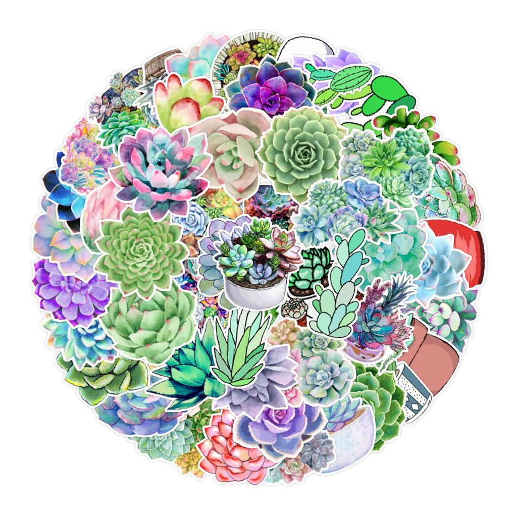 50 Succulents Doodle Stickers Suitcase Car Notebook Refrigerator Water Cup Waterproof Decorative Stickers