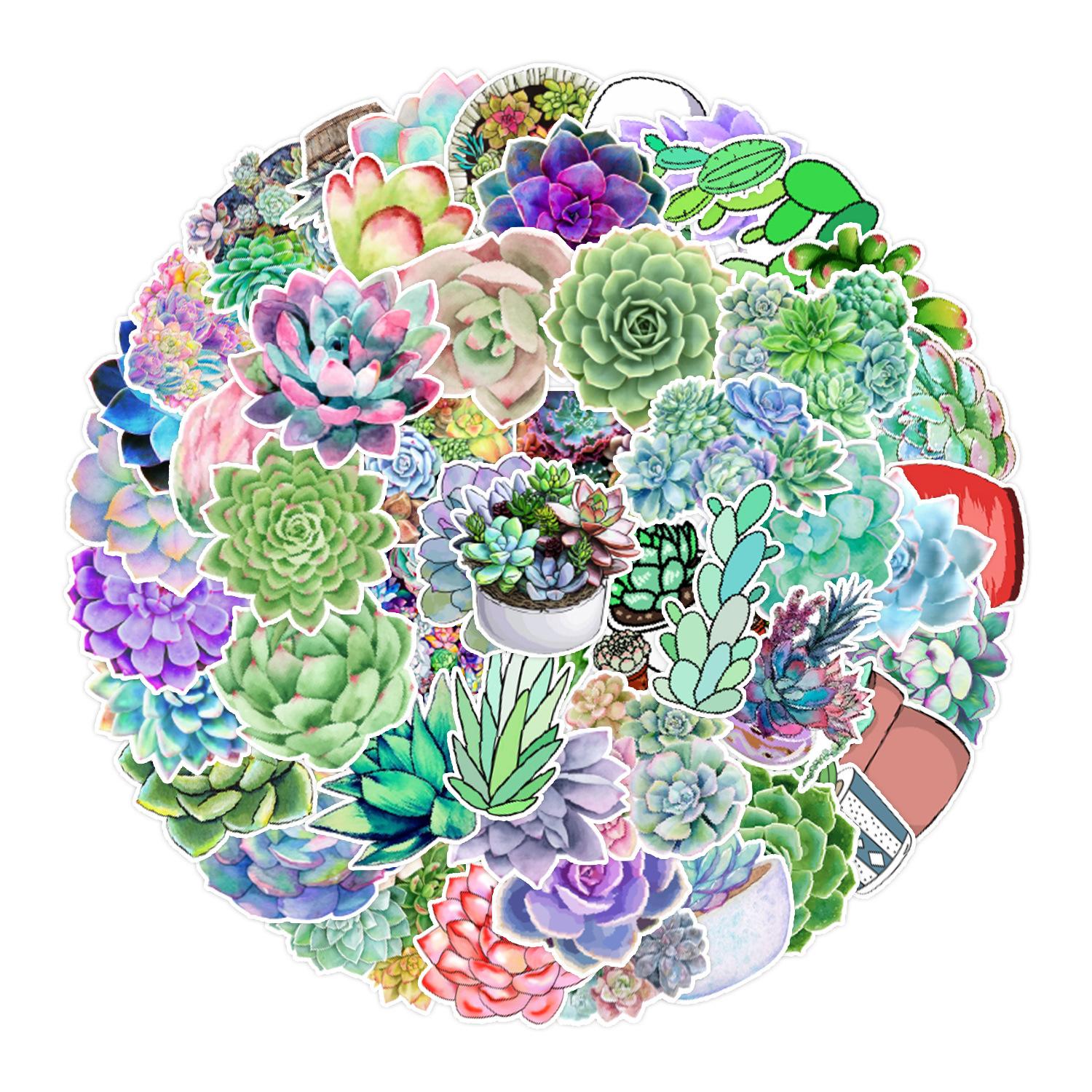 

50 Succulents Doodle Stickers Suitcase Car Notebook Refrigerator Water Cup Waterproof Decorative Stickers