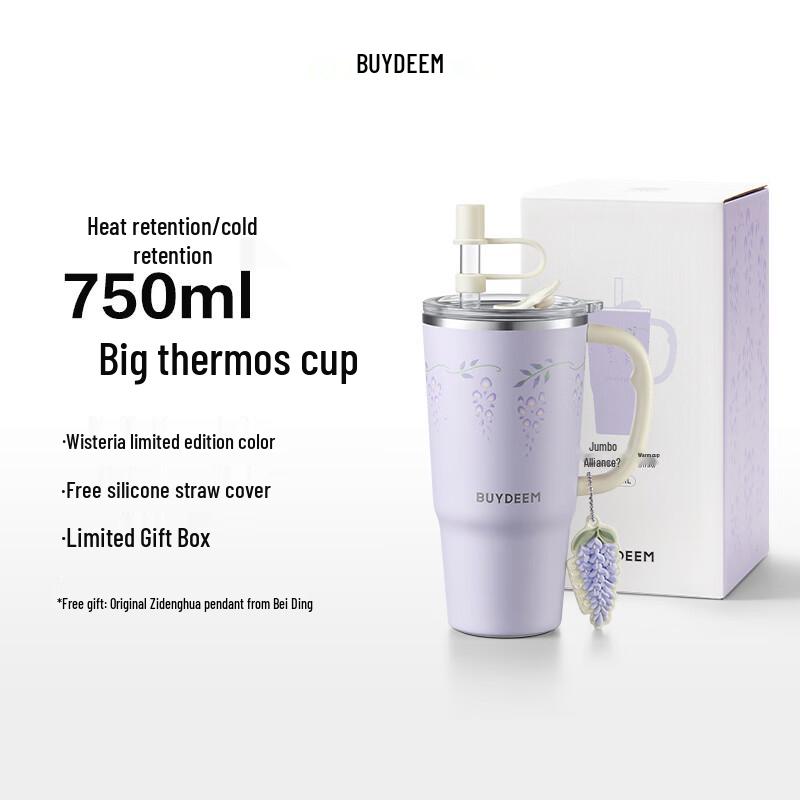 

Buydeem Wisteria Jumbo 750ml Insulated Straw Mug