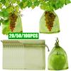 20/50/100Pcs Strawberry Grapes Fruit Grow Bags Vegetable Plant Protection Bags Mesh Pest Control Anti-Bird Garden Netting Cover