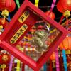 Golden Little Horse Pendant: 2026 Year of the Horse 24K Pure Gold Keychain/Bag/Phone Charm