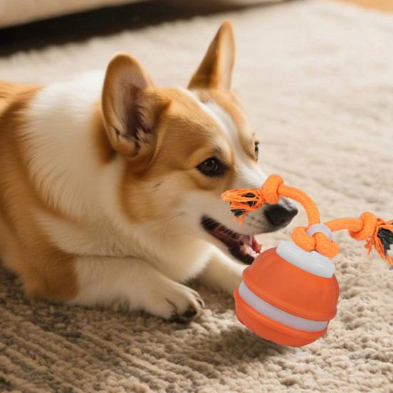 Palla Elettrica Rotolante per Cani Ricaricabile Palla Rotolante Automatica Giocattolo da Masticare con Corda di Cotone Resistente ai Morsi Giocattolo Interattivo per Cani per la Pulizia dei Denti